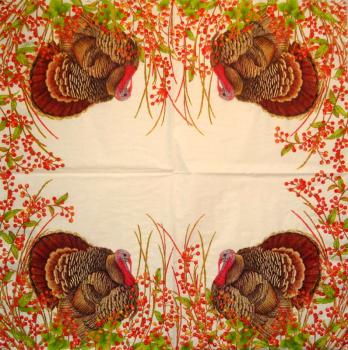 043 Peacock - 3-ply - Converting 2002
